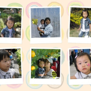 막대사탕6분할