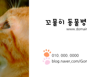 발자국