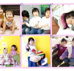 화이트분홍테6분할