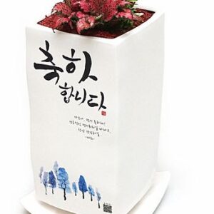 축하합니다