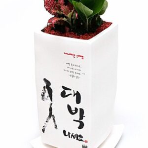 대박
